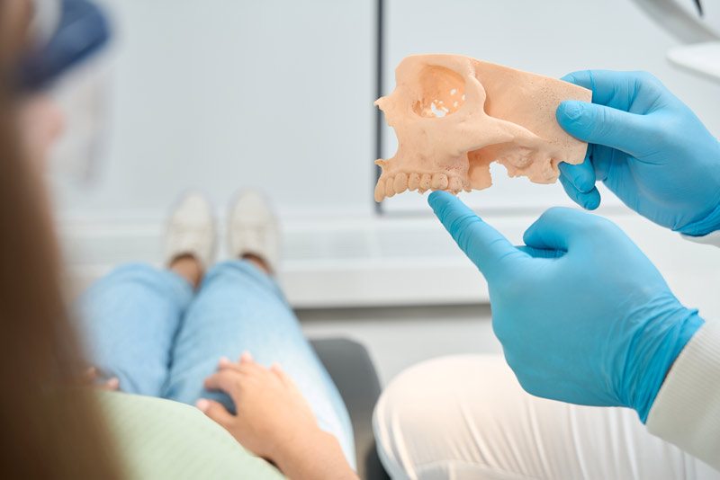An image of Dentist pointing at a jawbone model to a dental patient.